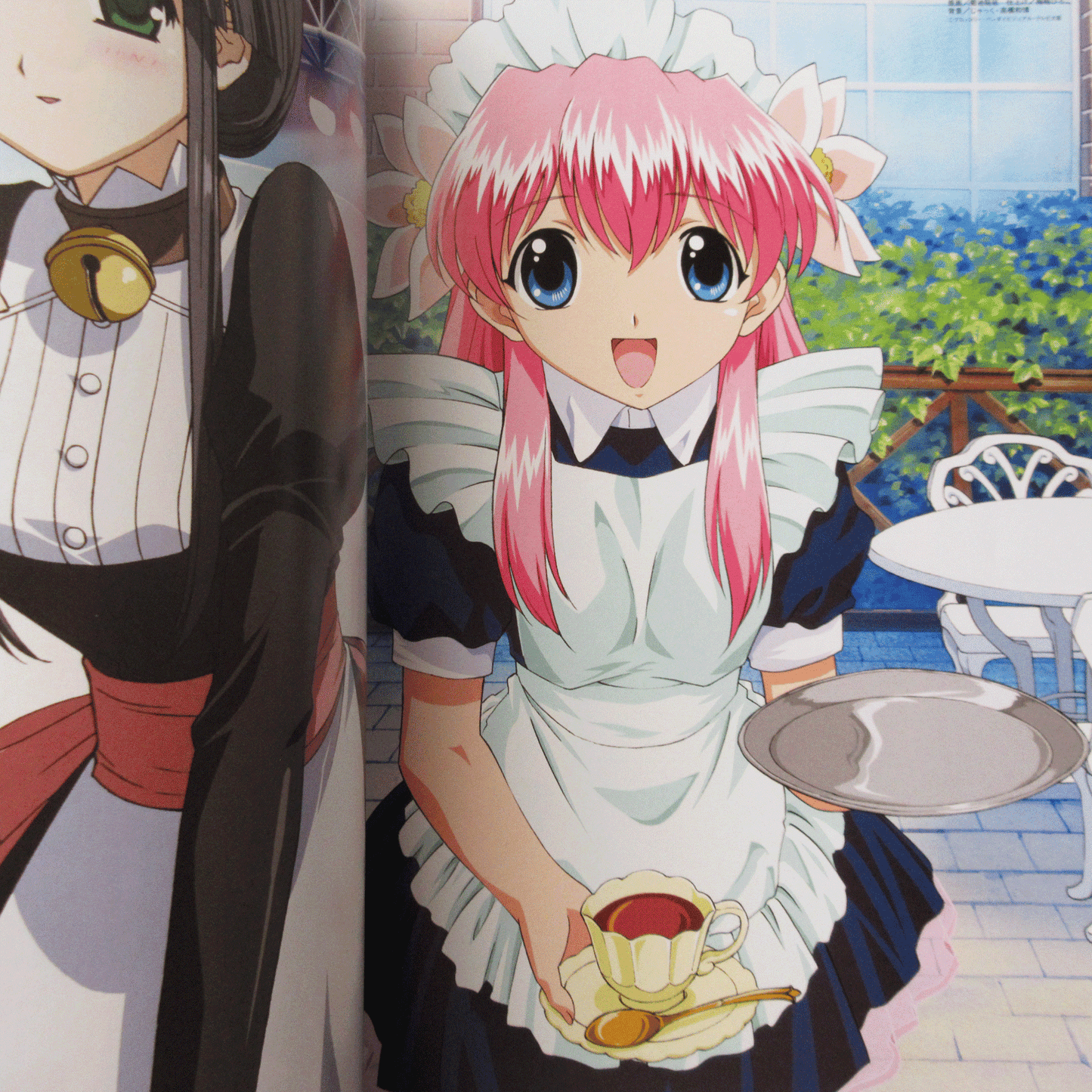 Megami Magazine DELUXE Vol.5