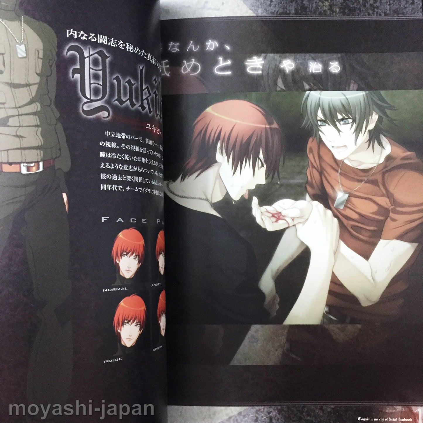Togainu no Chi True Blood Official Fan Book First Edition