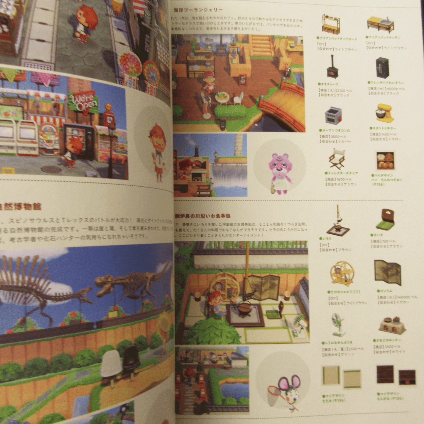 Animal Crossing Atsumare Doubutsu no Mori Shima mashimashi Guide Book