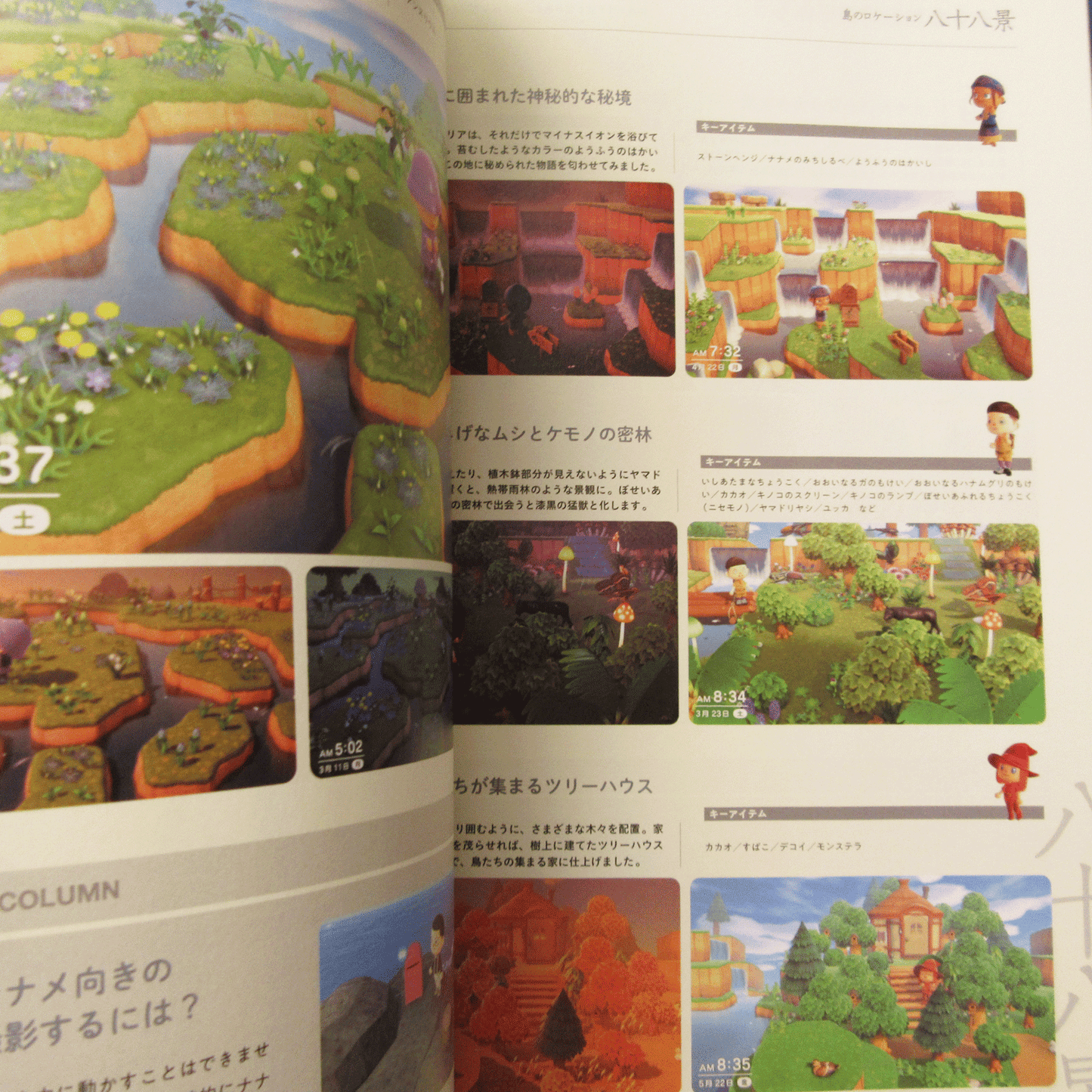 Animal Crossing Atsumare Doubutsu no Mori Shima mashimashi Guide Book