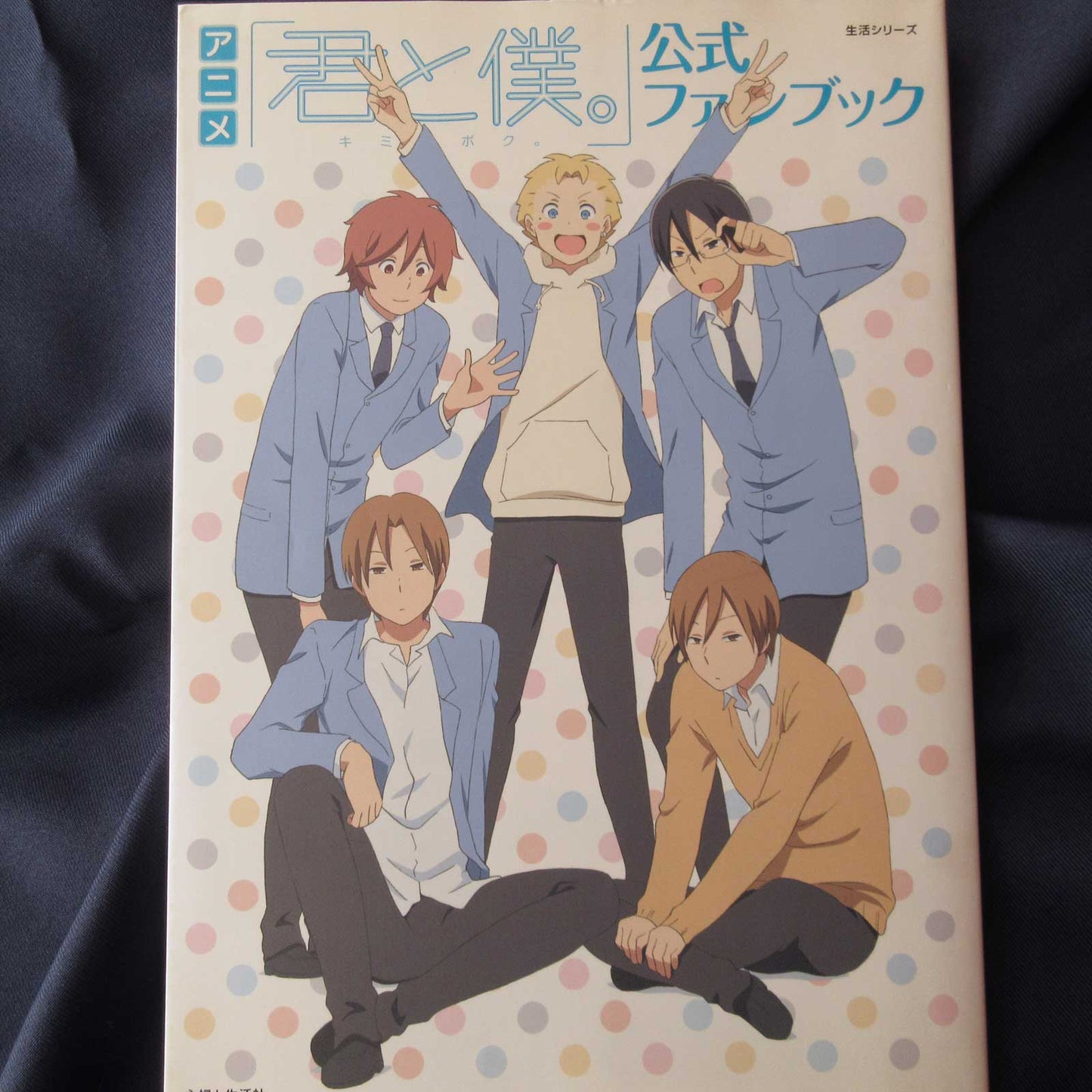 Anime Kimi to Boku (You and Me) Official Fan Book