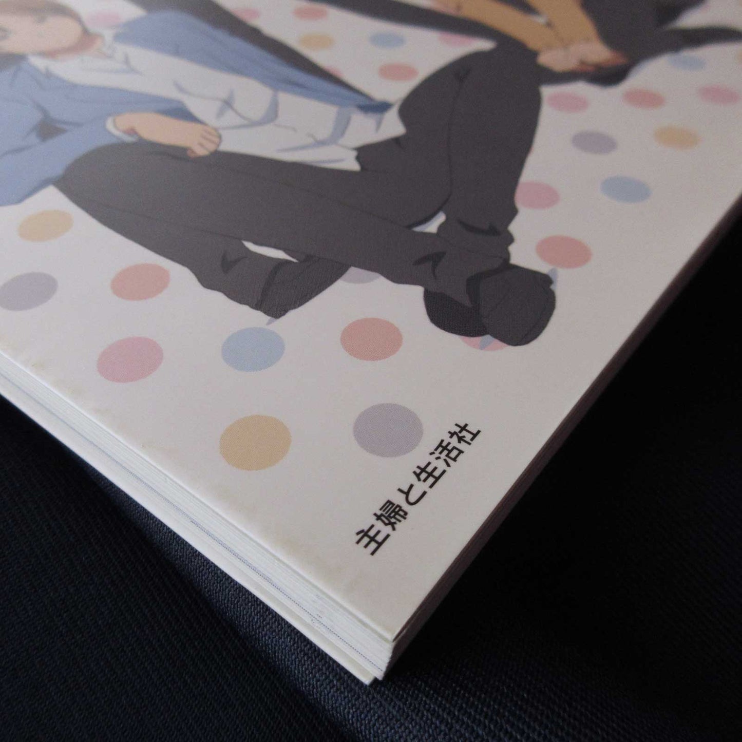Anime Kimi to Boku (You and Me) Official Fan Book