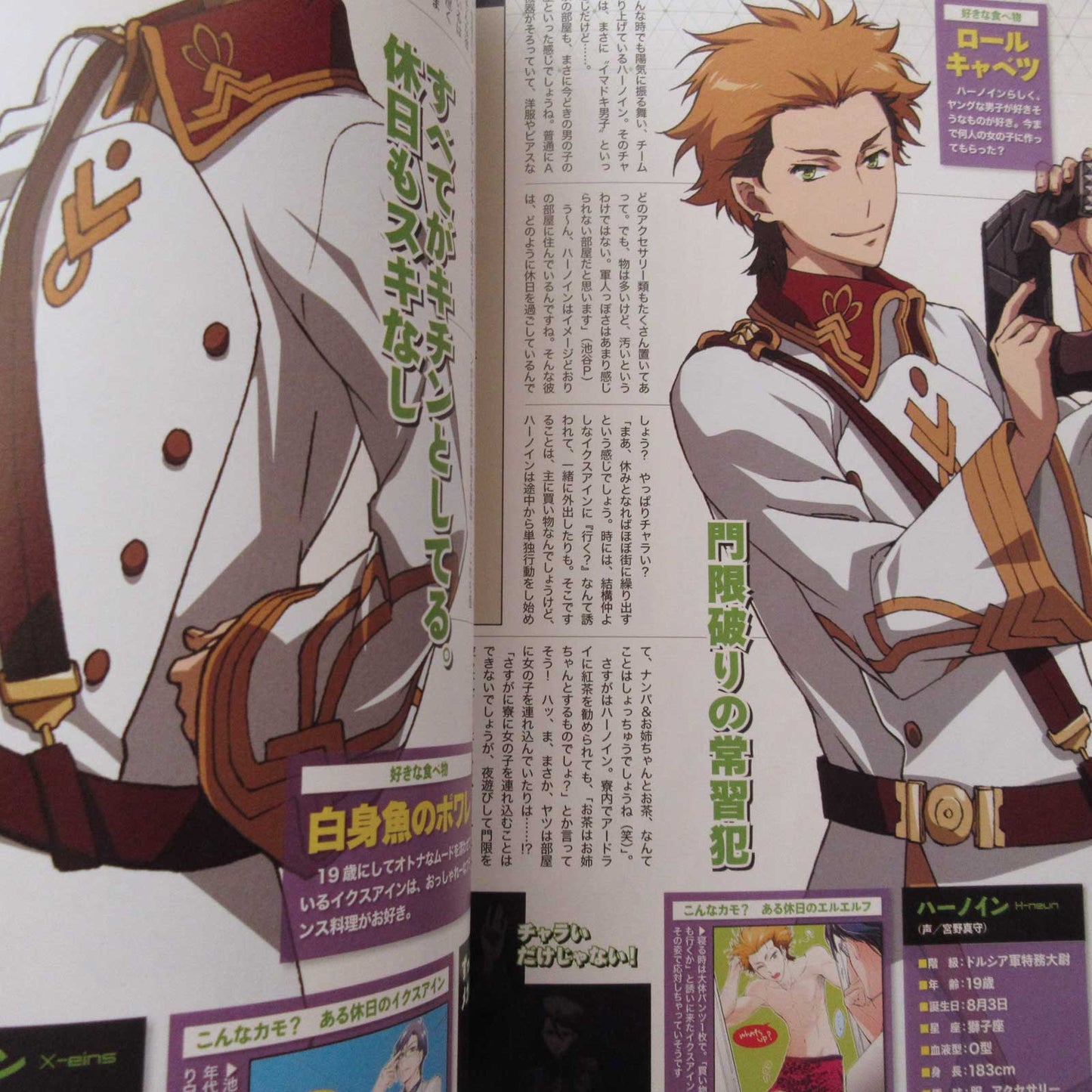 Valvrave the Liberator Official Fan Book