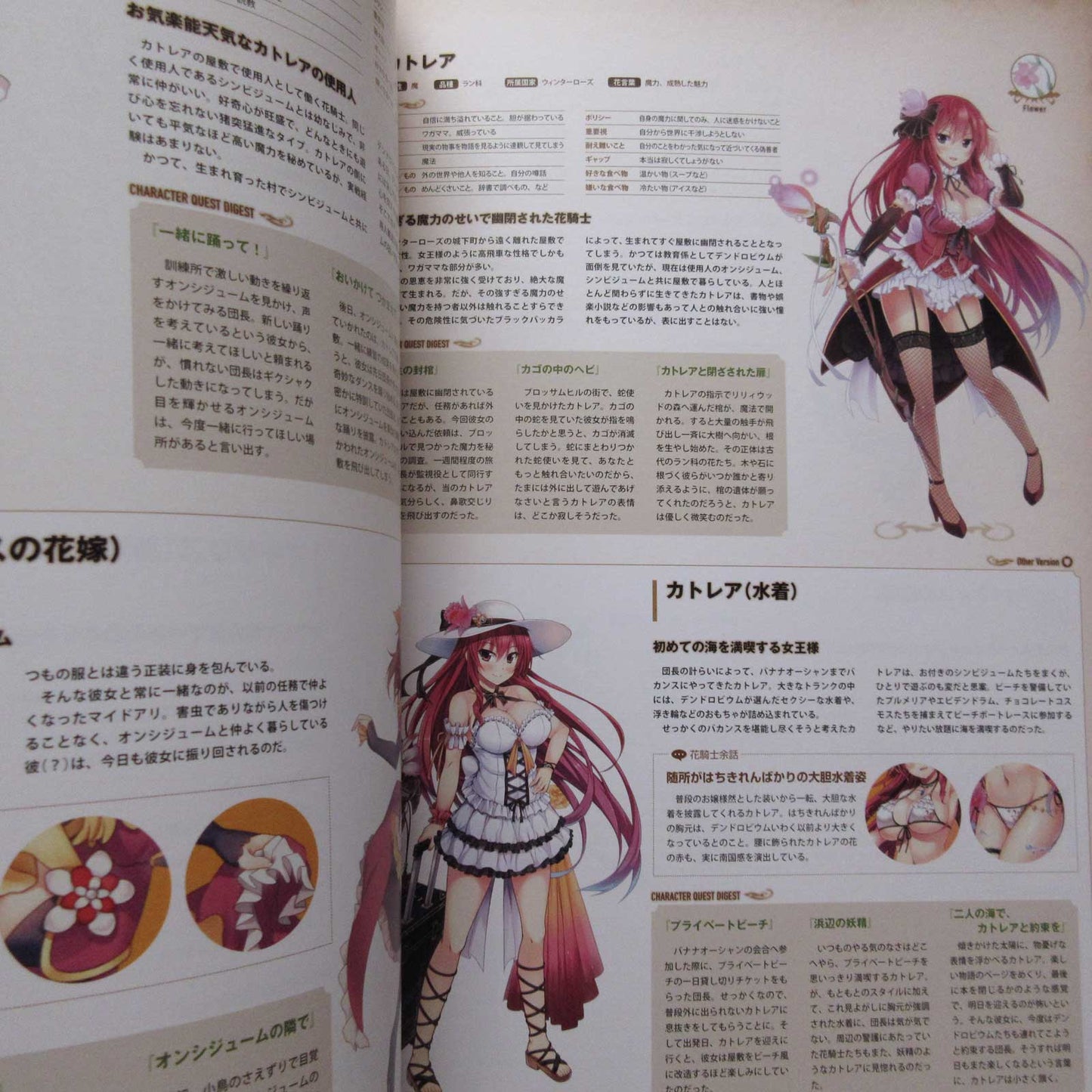 Flower Knight Girl World and Character Guide