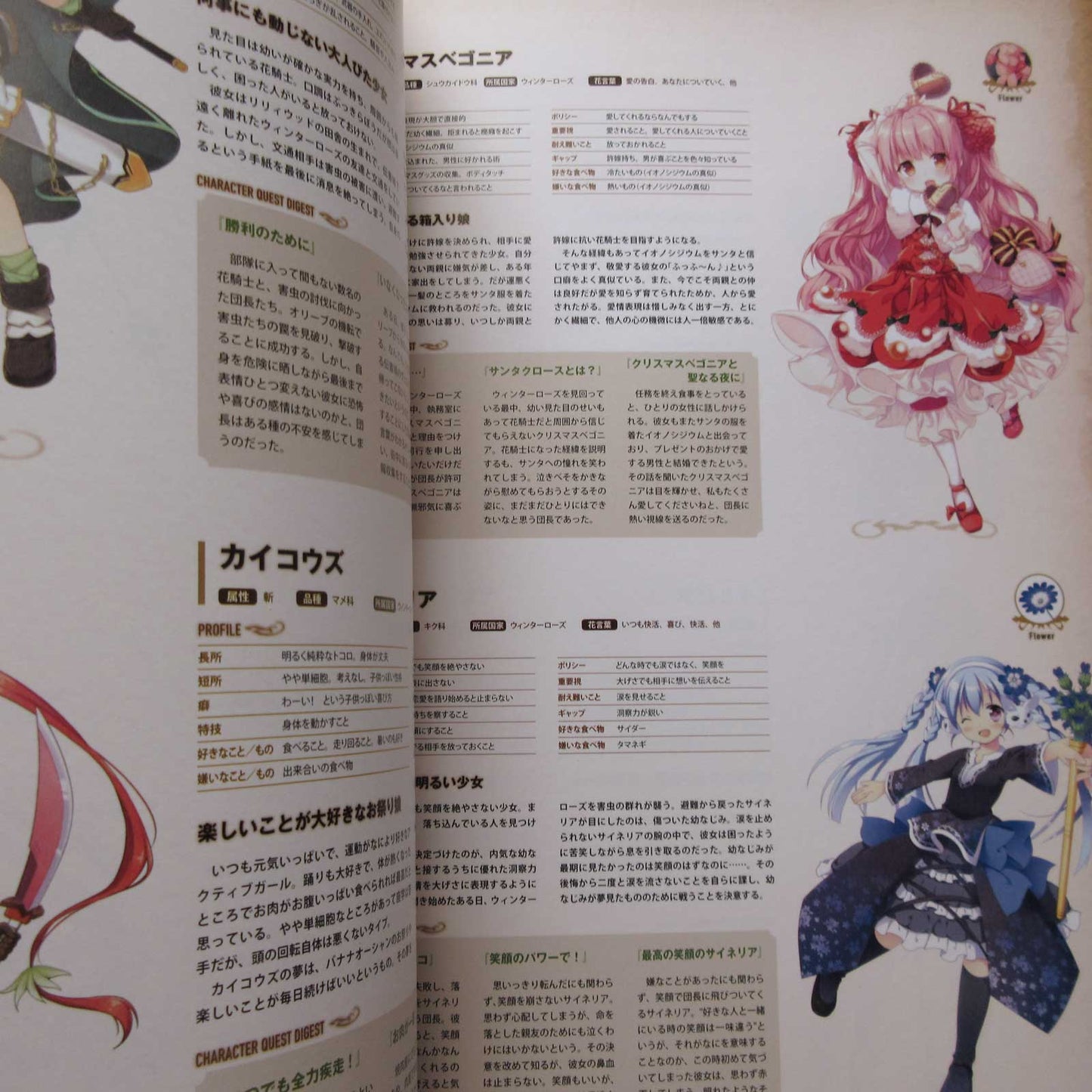 Flower Knight Girl World and Character Guide