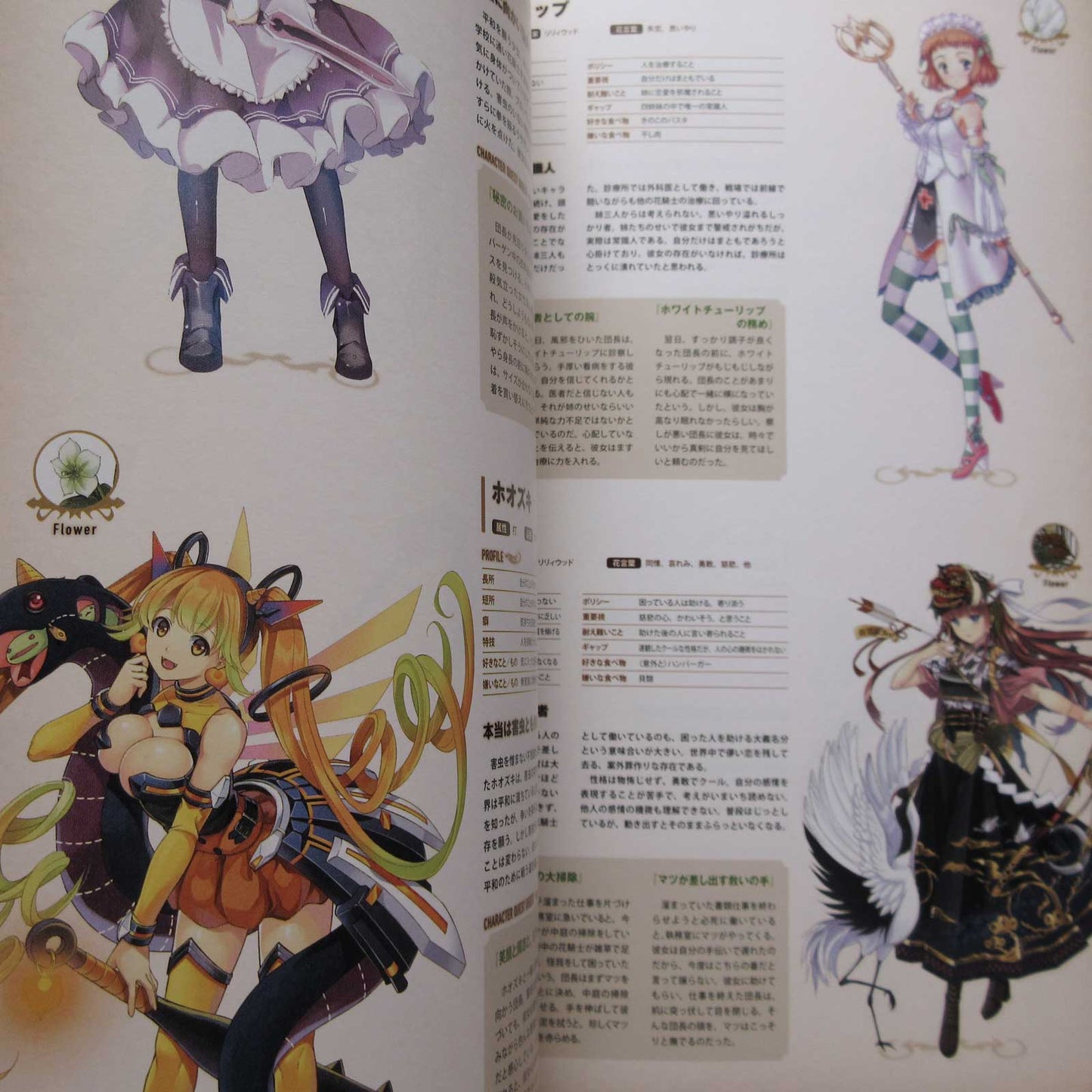 Flower Knight Girl World and Character Guide