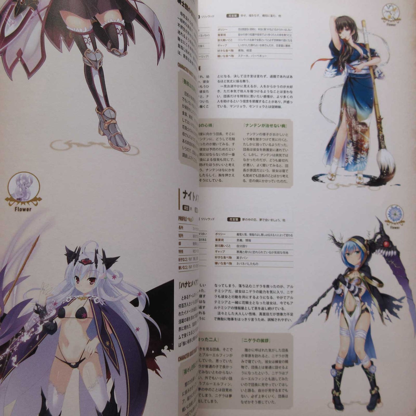 Flower Knight Girl World and Character Guide