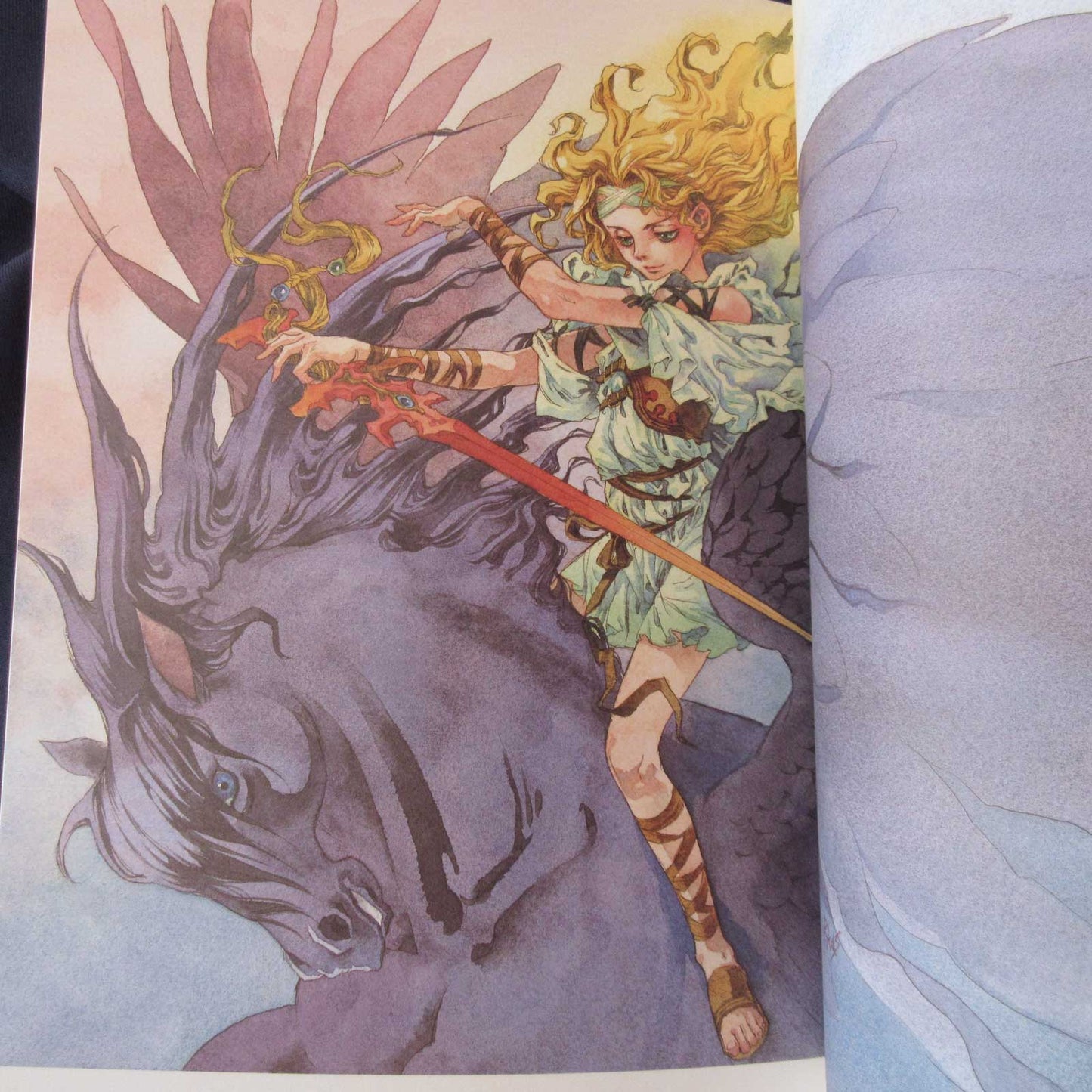 Rika Suzuki Art Book