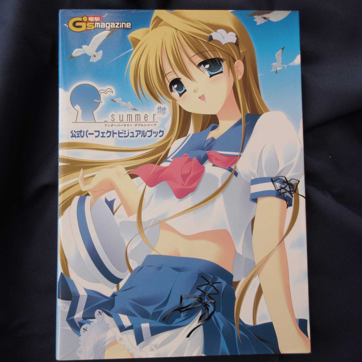 _Summer## Official Perfect Visual Book