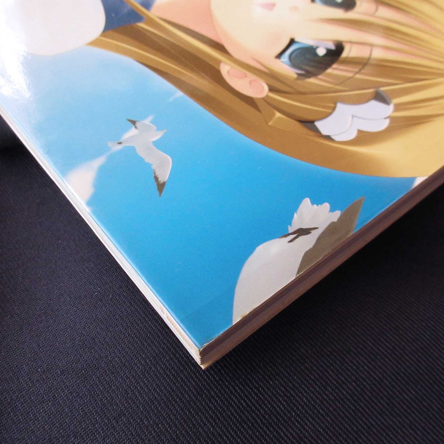 _Summer## Official Perfect Visual Book