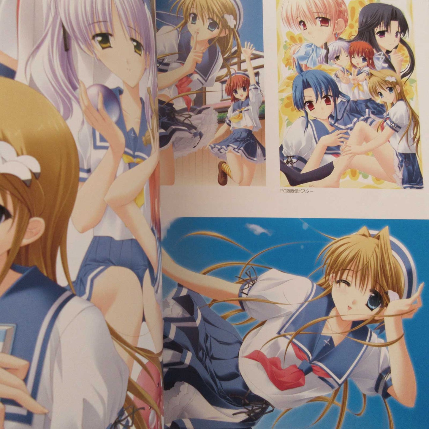 _Summer## Official Perfect Visual Book