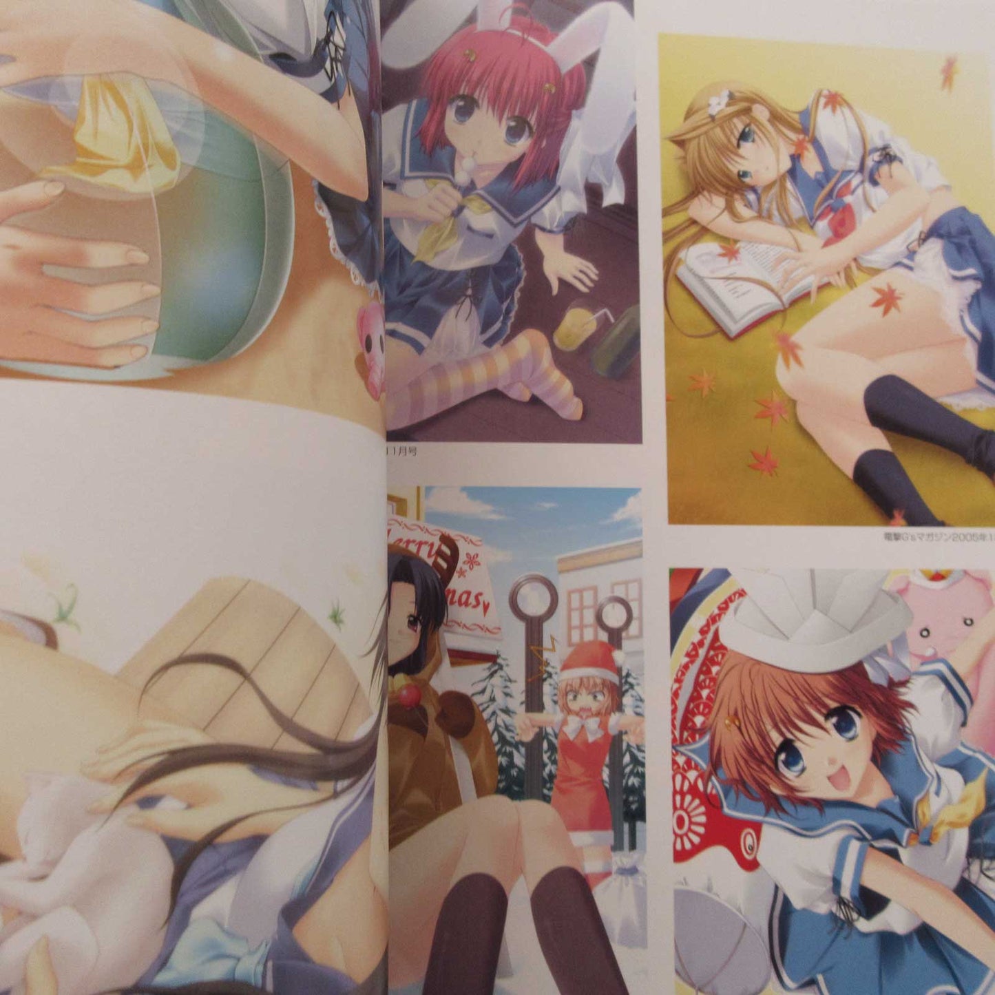 _Summer## Official Perfect Visual Book