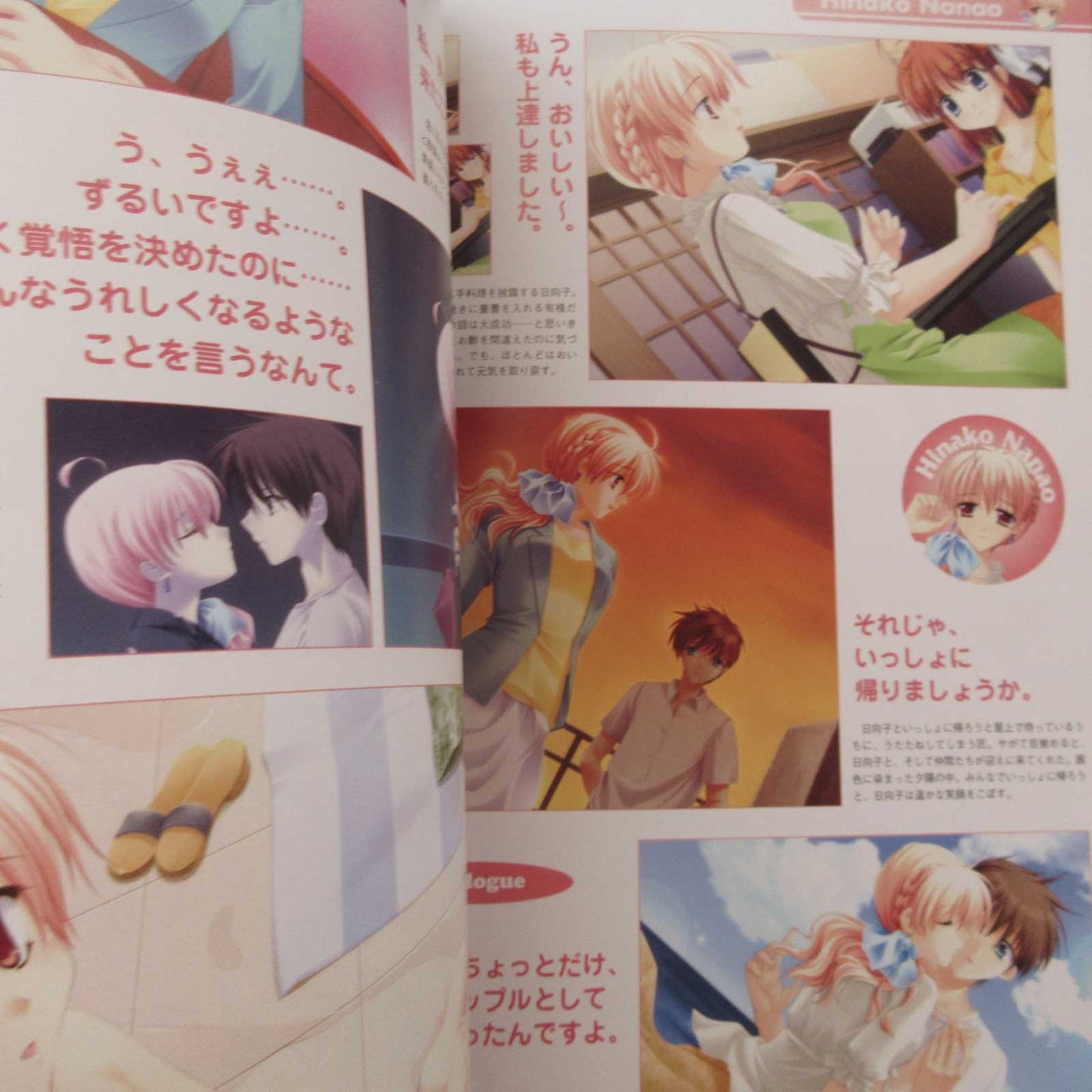 _Summer## Official Perfect Visual Book