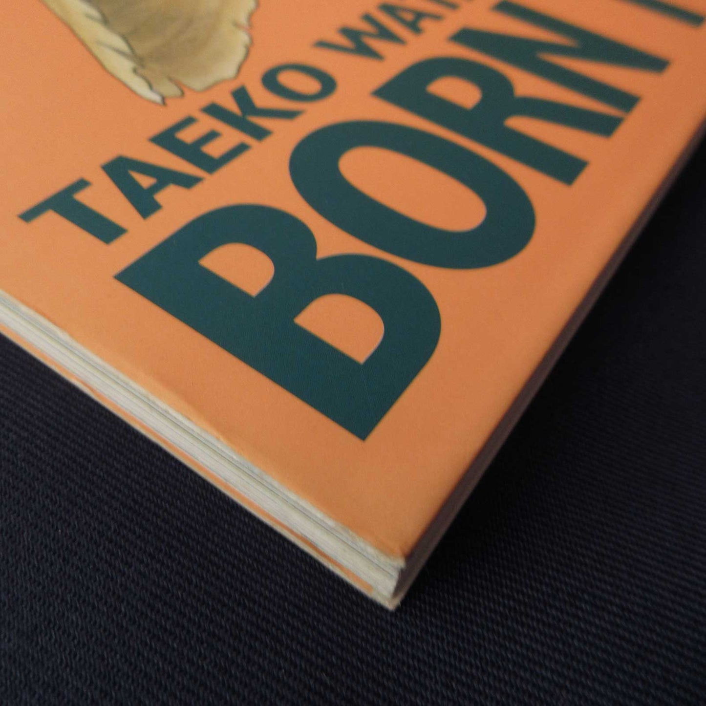 Taeko Watanabe Born To Be IDOL! Hajime-chan ga Ichiban! Art Book