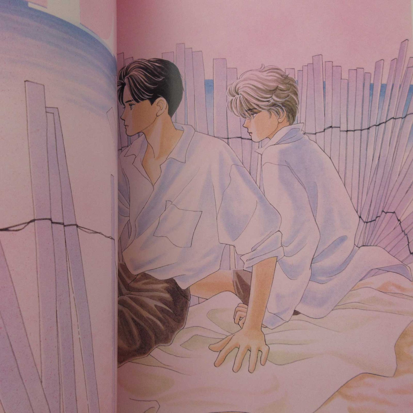 Taeko Watanabe Born To Be IDOL! Hajime-chan ga Ichiban! Art Book