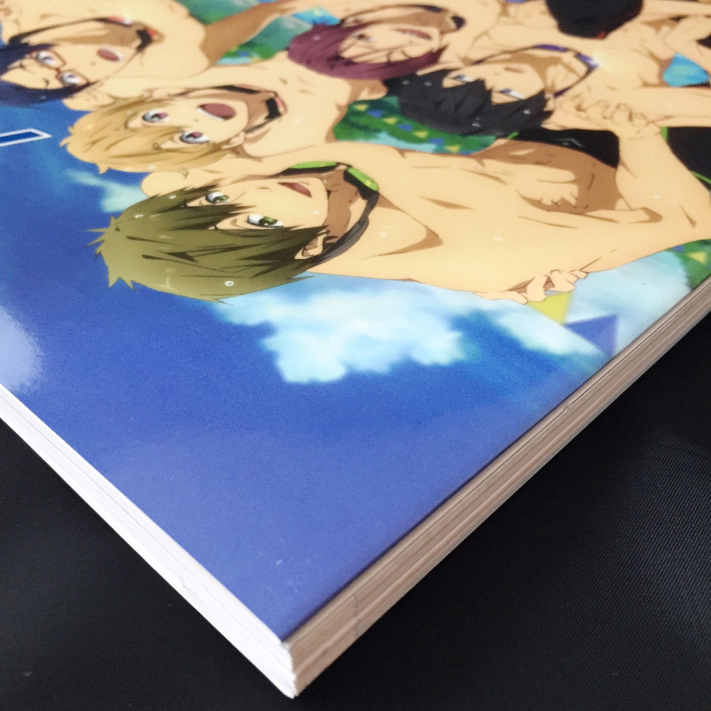 TV Animation Free! Official Fan Book