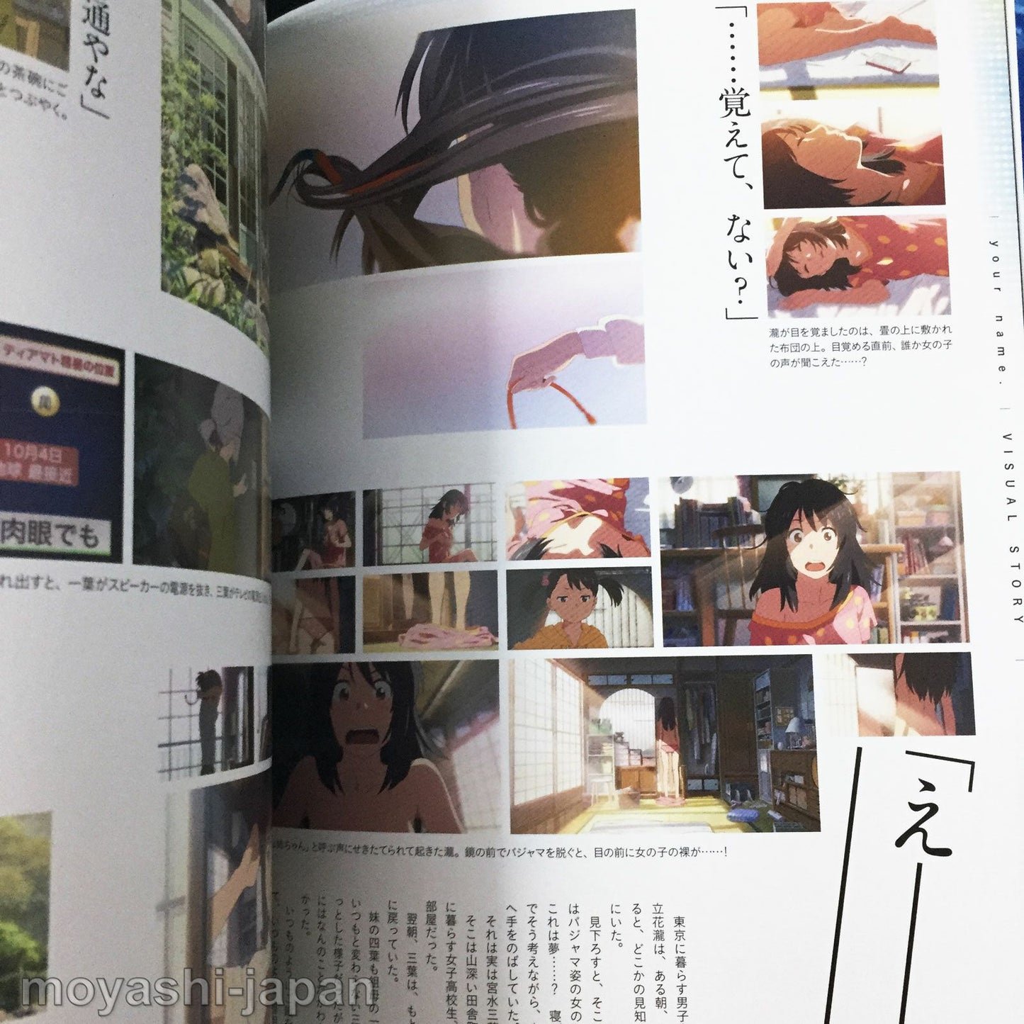 Kimi no Na wa (Your Name) Official Visual Guide