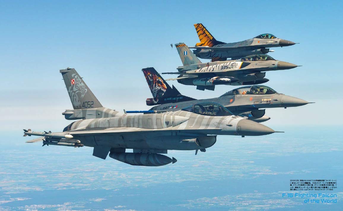 F-16 Fighting Falcon   Military Aircraft of the World