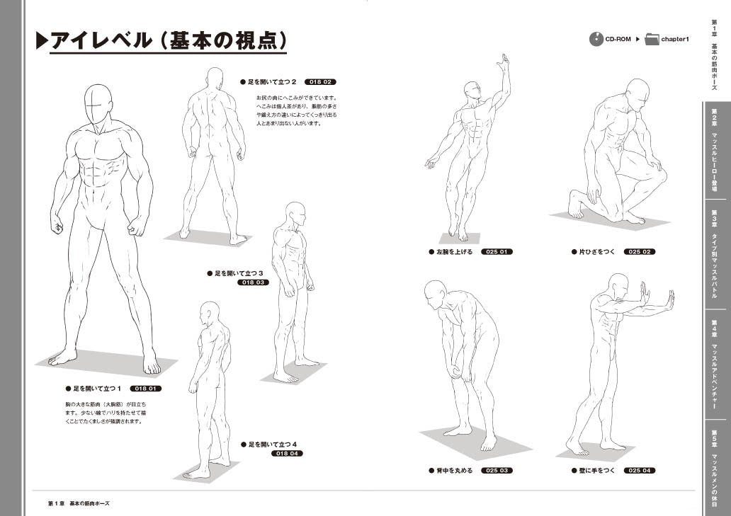 Ready-to-Use Muscle Poses 500 w/CD-ROM