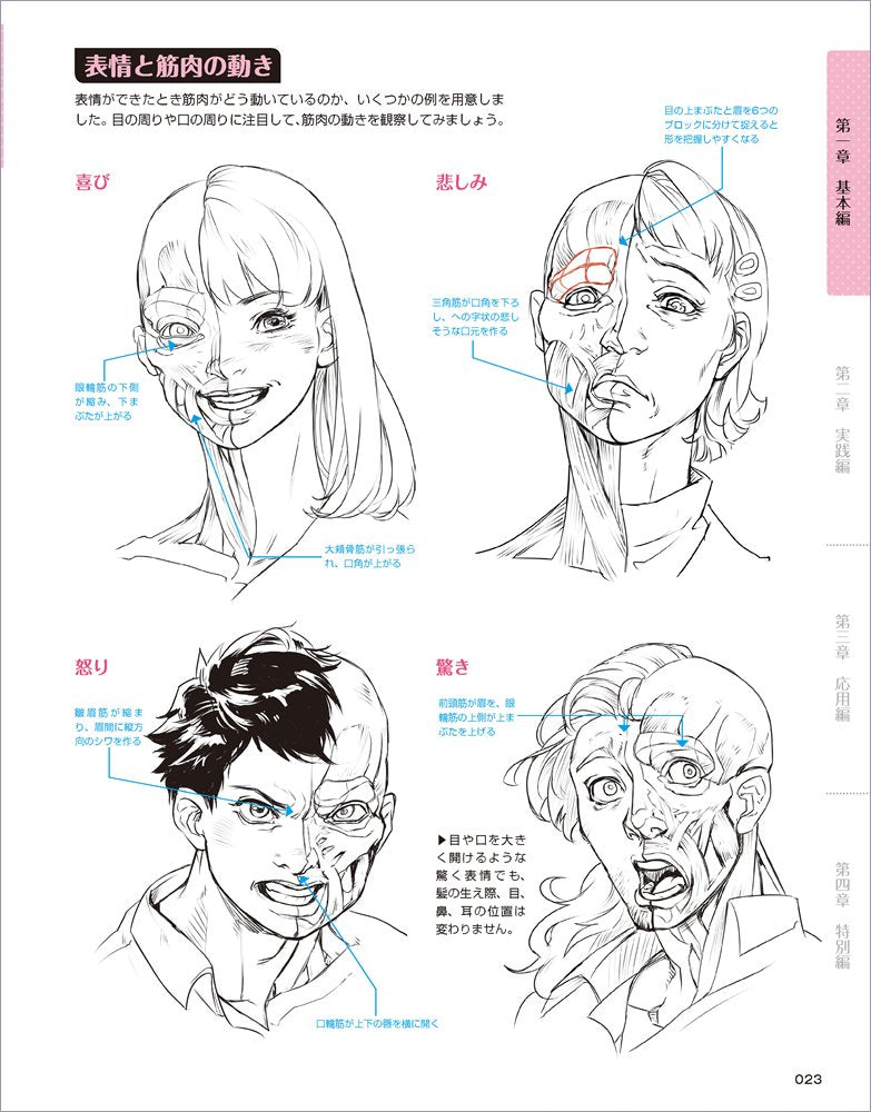 How To Draw Emotional Facial Expressions of Characters