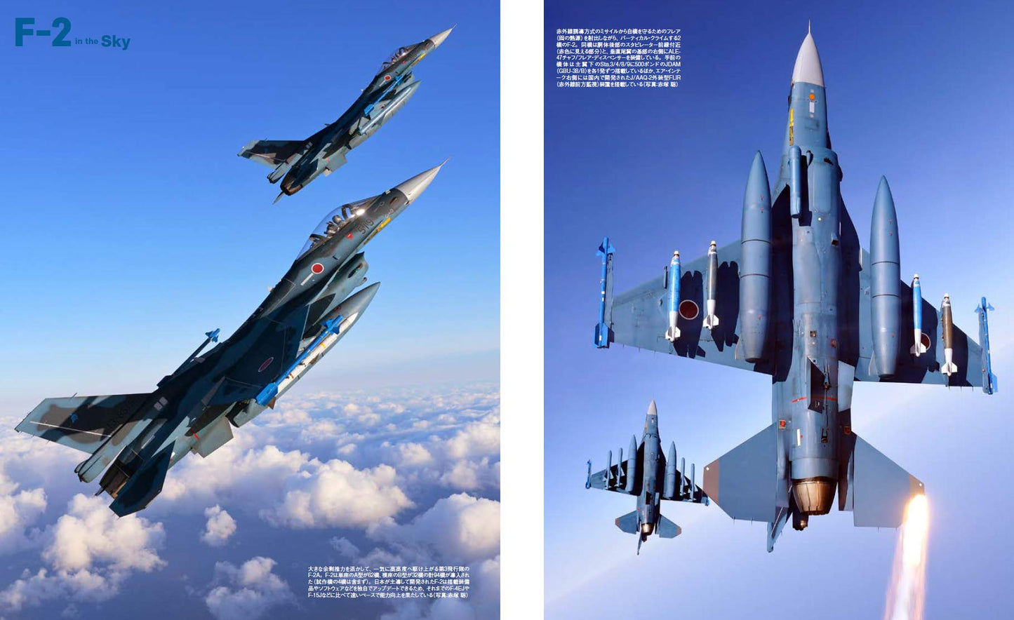 F-2  Military Aircraft of the World