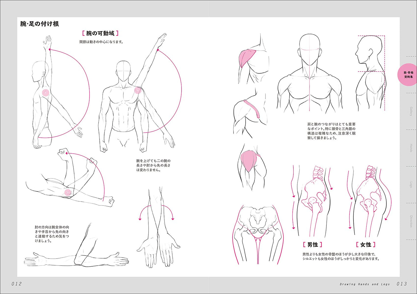 Complete explanation Improving quickly! How to draw hands and feet