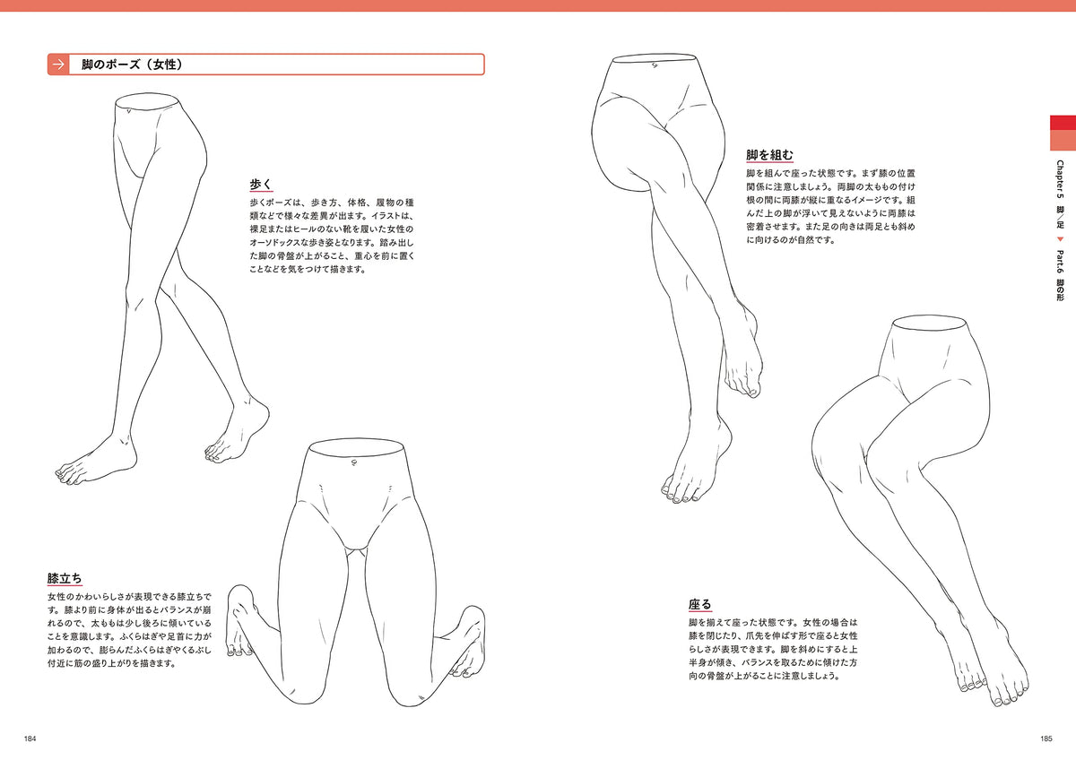 Create the best illustrations! How to draw an attractive 