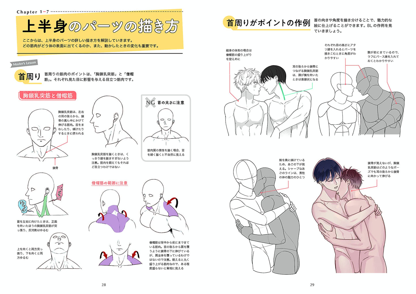 The first BL drawing basics and techniques, How to draw muscles