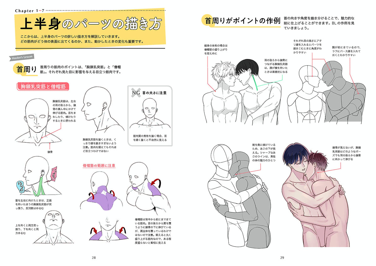 The first BL drawing basics and techniques, How to draw muscles ...
