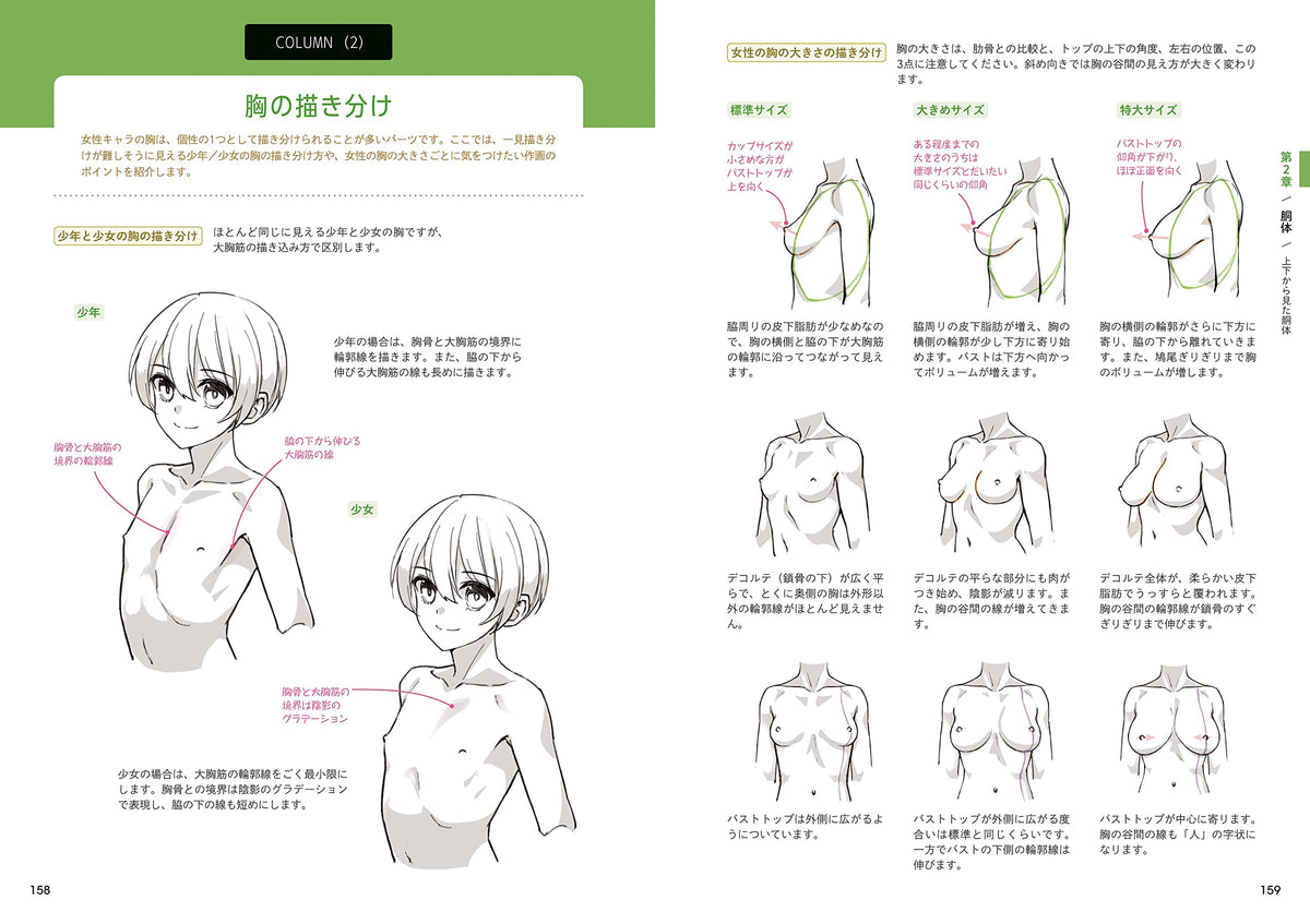How to Draw the Body & Anatomy Encyclopedia – MOYASHI JAPAN BOOKS