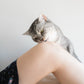 Neko to Futomomo /Cat & Thighs  Yuki Aoyama Photo Works