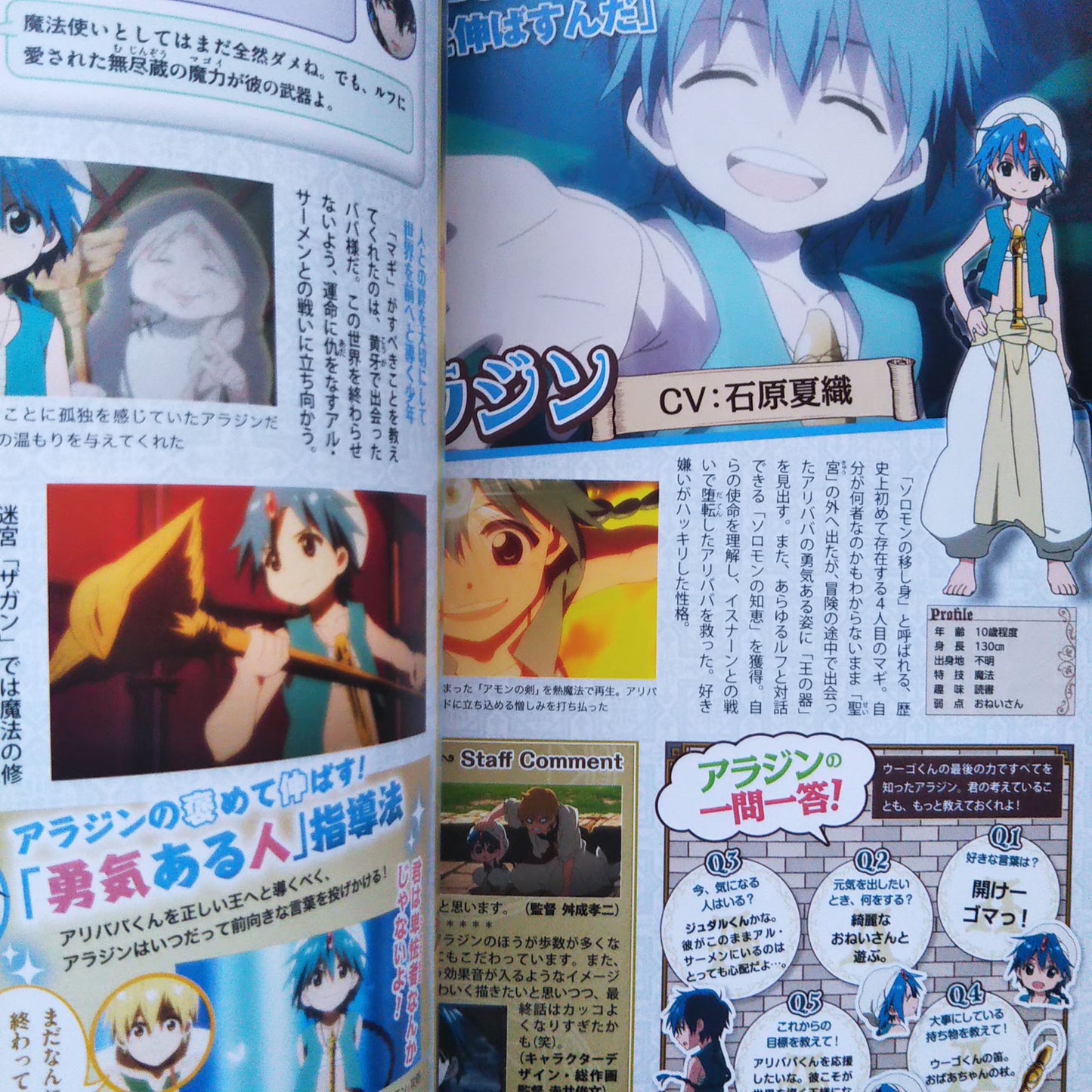 TV Animation Magi The Labyrinth of Magic Perfect Fan Book