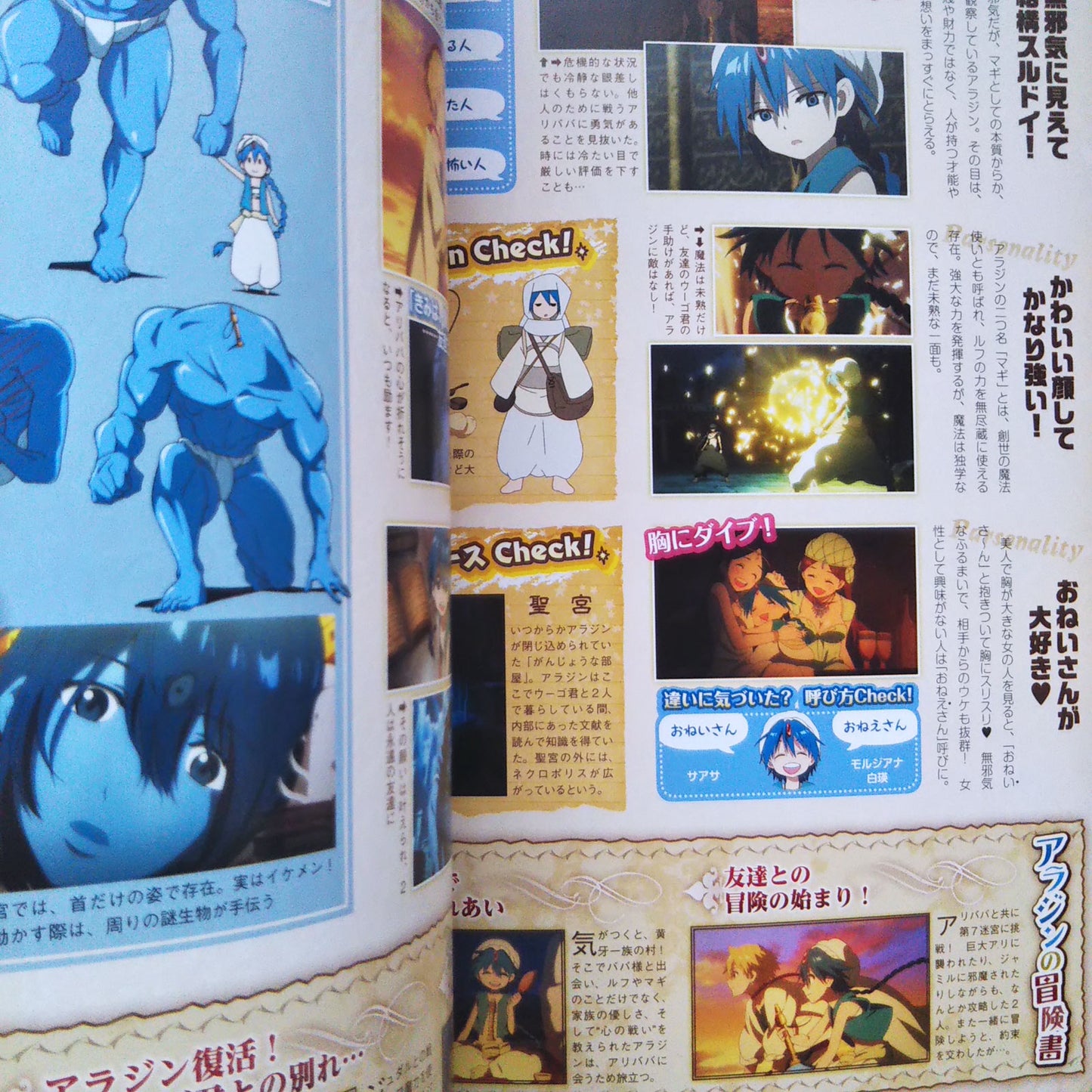 TV Animation Magi The Labyrinth of Magic 1st Fan Book