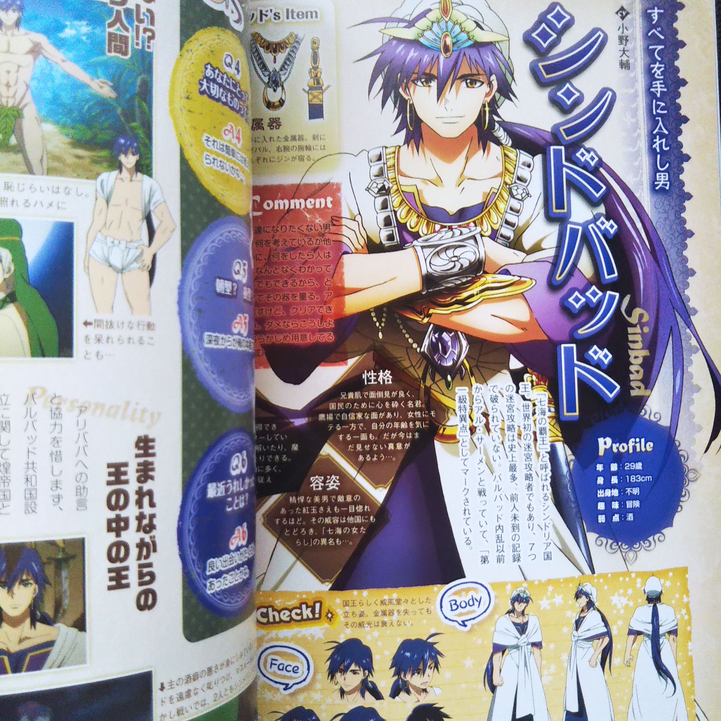 TV Animation Magi The Labyrinth of Magic 1st Fan Book