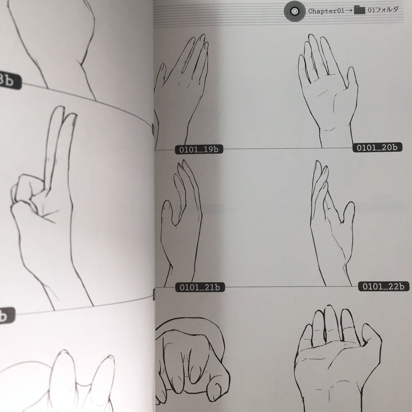 Hand gesture illustration pose collection /CD-ROM