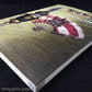 Sengoku Musou 2 Official Data Book ( Samurai Warriors)
