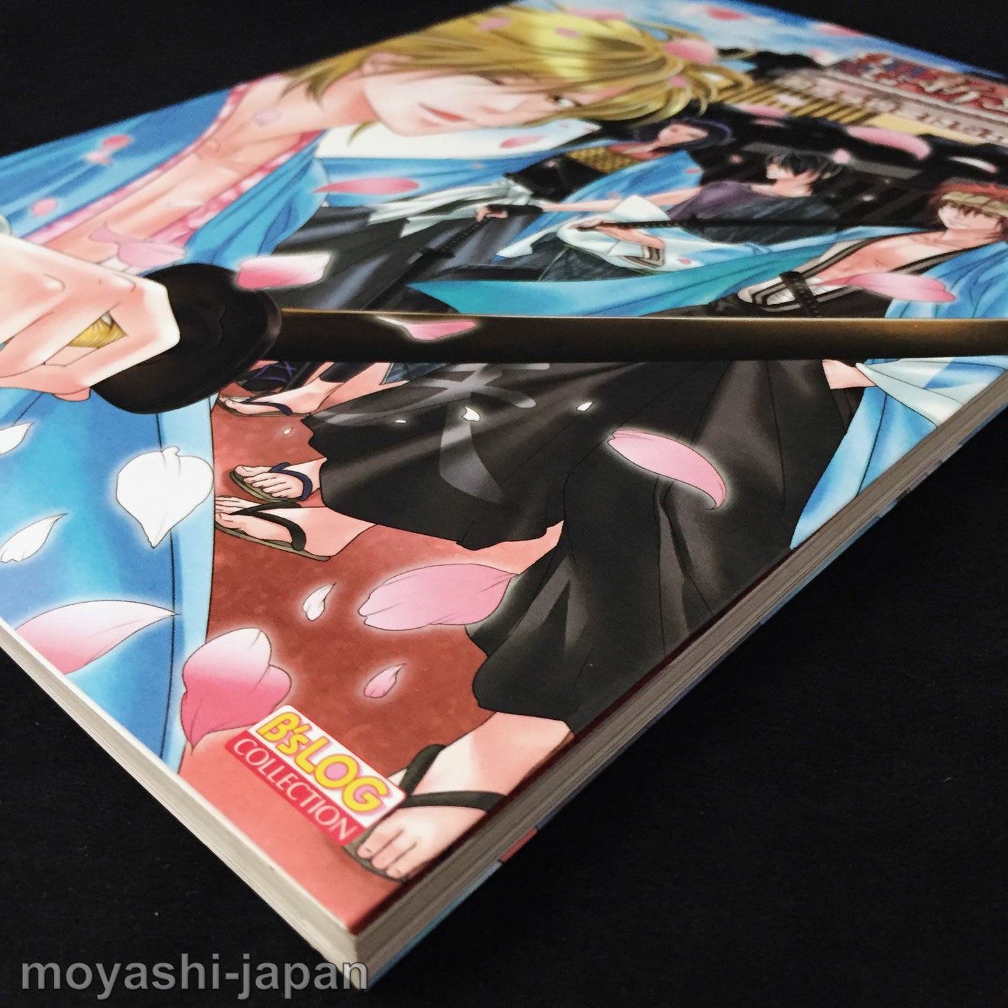 Bakumatsu Renka Shinsengumi DS Complete Guide Book