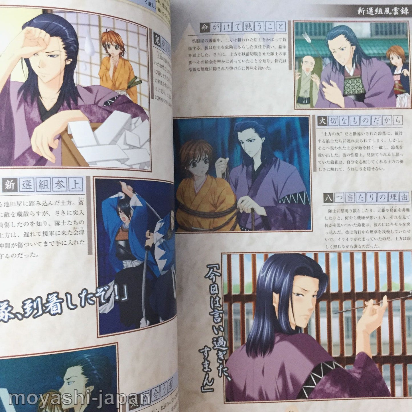 Bakumatsu Renka Shinsengumi DS Complete Guide Book