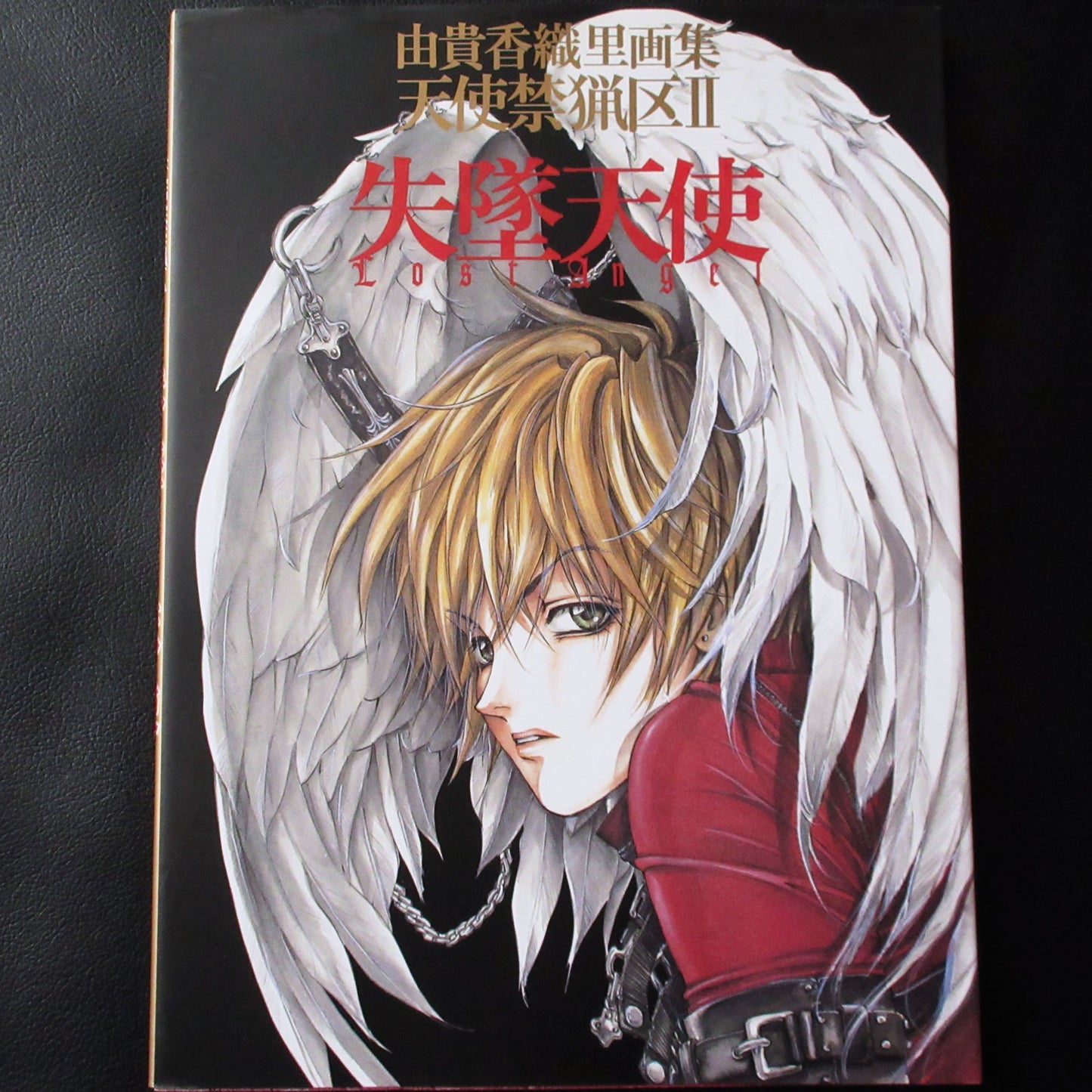 Kaori Yuki Illustrations ANGEL SANCTUARY 2 LOST ANGEL