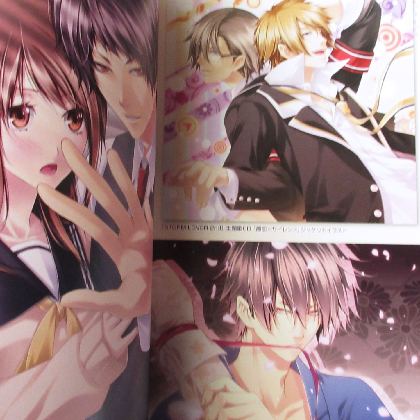 STORM LOVER 2nd Official Visual Fan Book