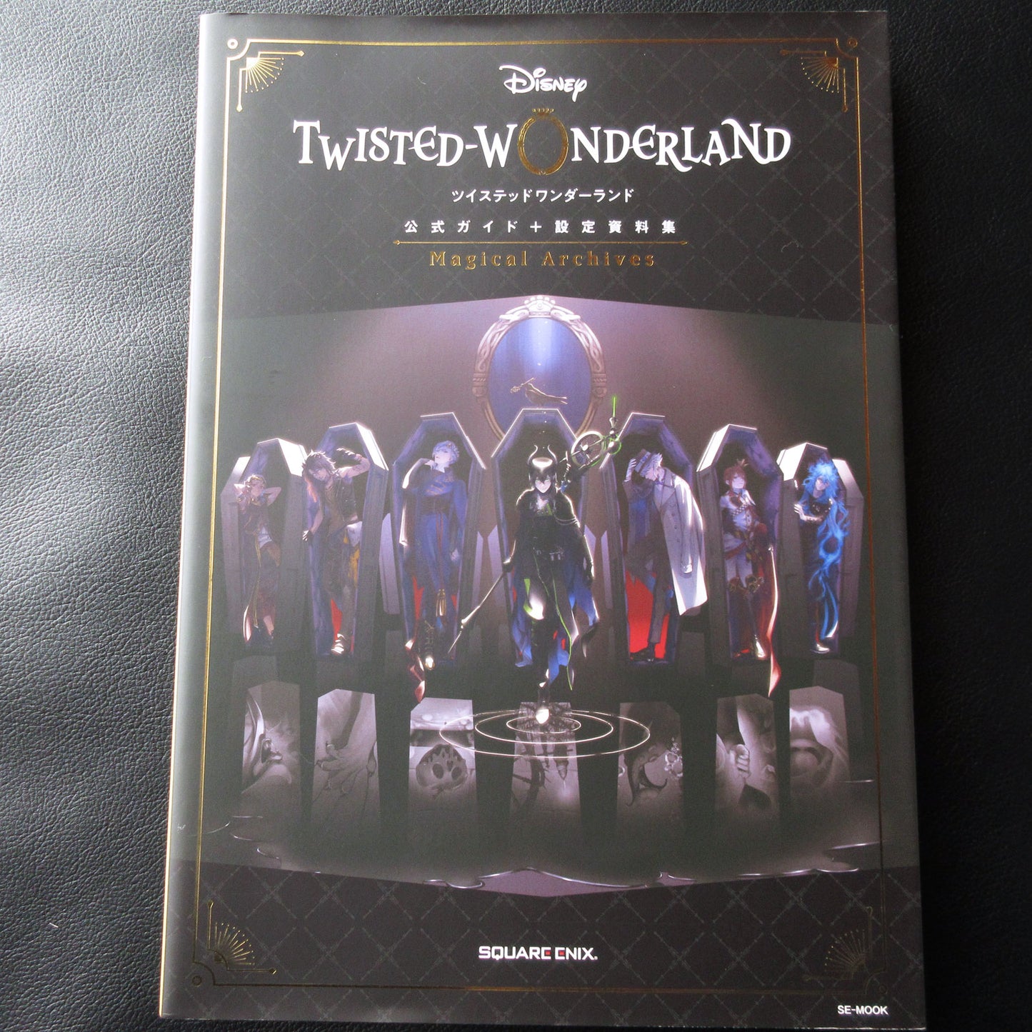 Disney Twisted Wonderland Official Guide + Setting Material Collection "Magical Archives"