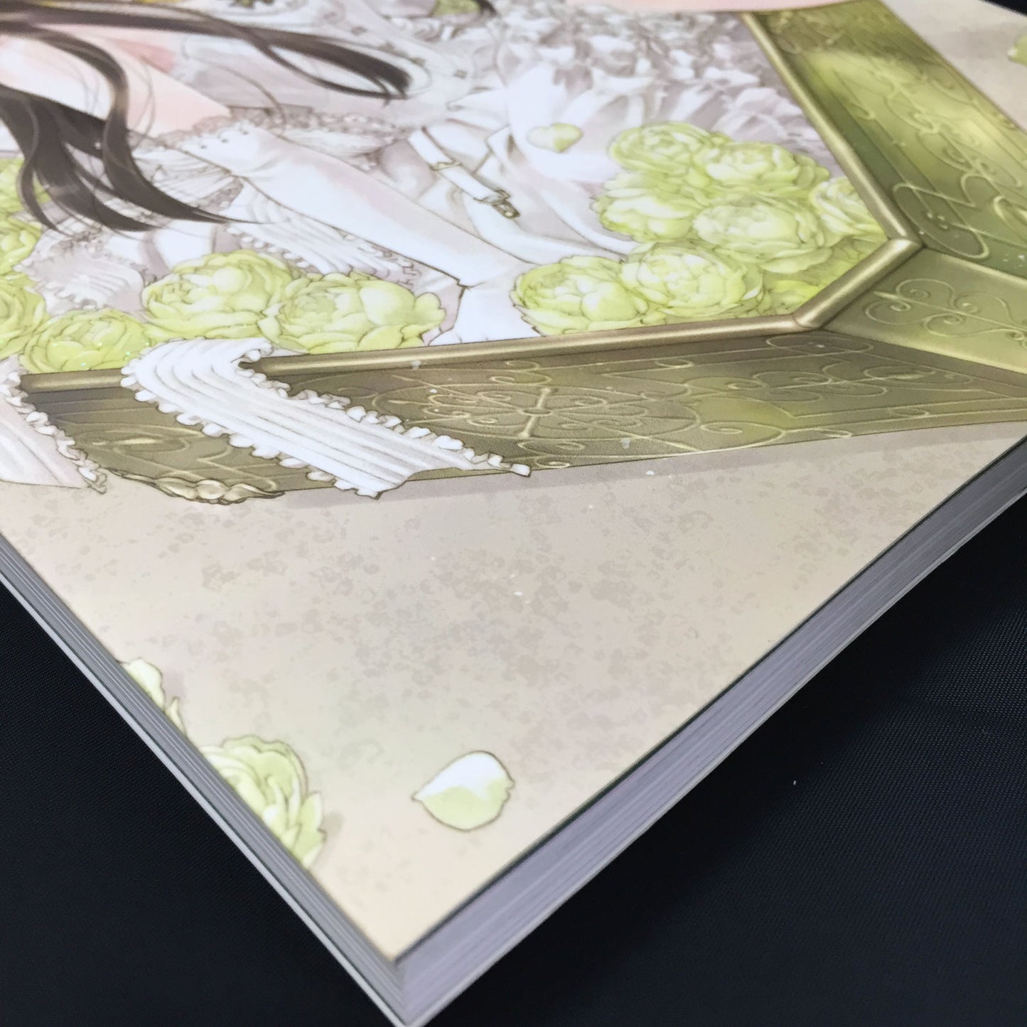 Kaori Minakami Art Book A Jewel Box