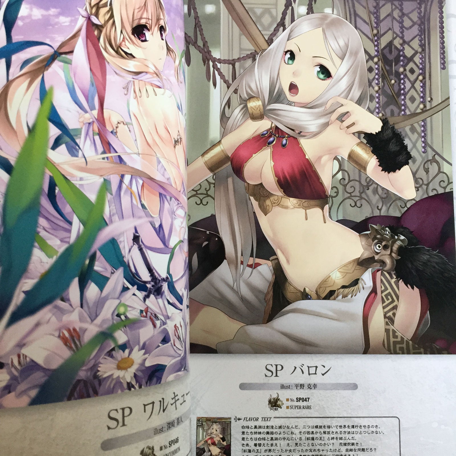 LORD of VERMILION Re:2 Art Book Silver