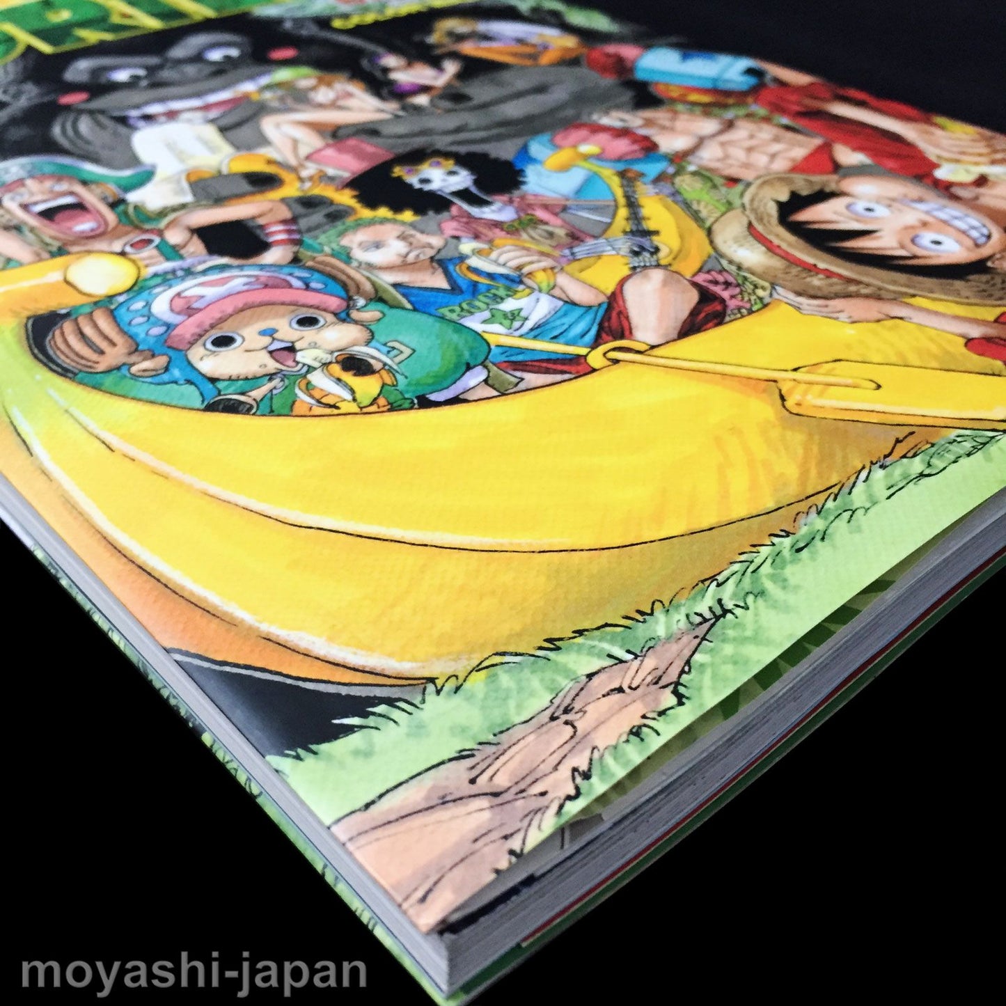ONE PIECE Eiichiro Oda Art Book COLOR WALK 6 GORILLA