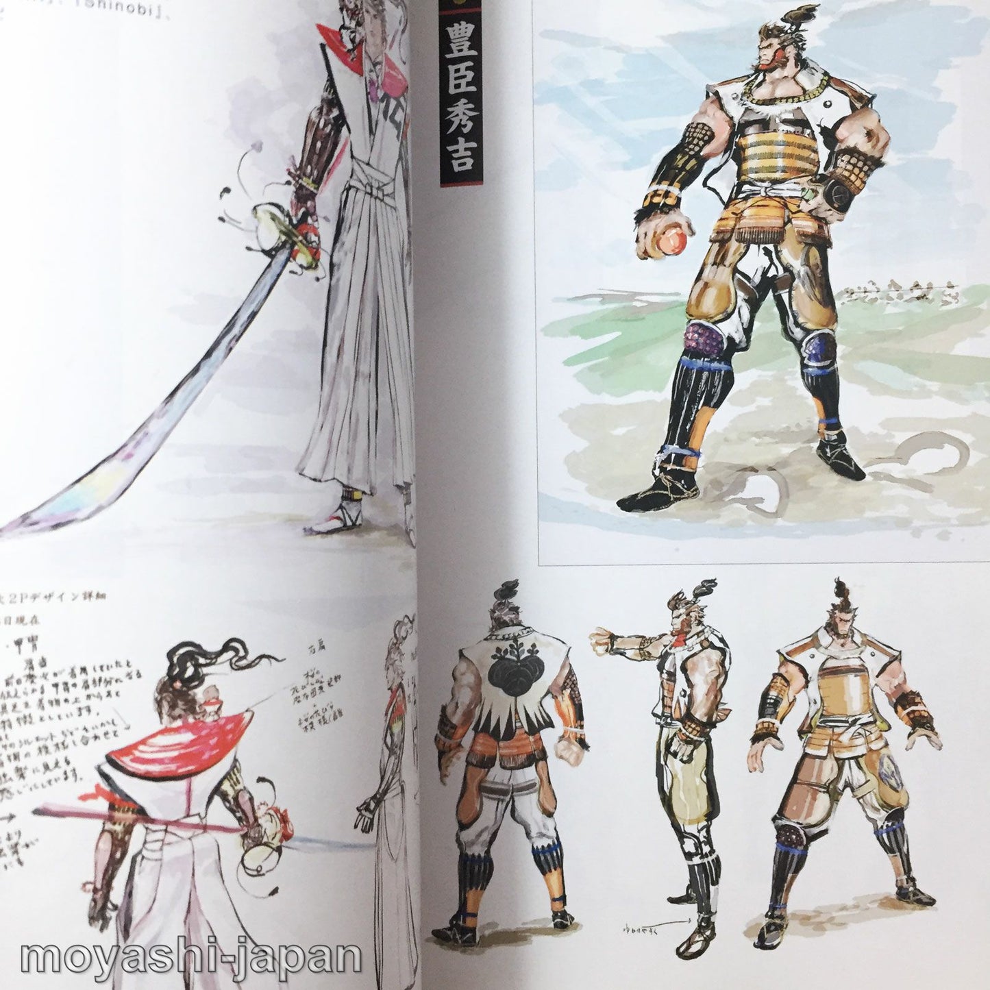 Sengoku Basara 2 Official Complete Works