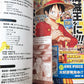 ONE PIECE Film Z Official Movie Guide Book