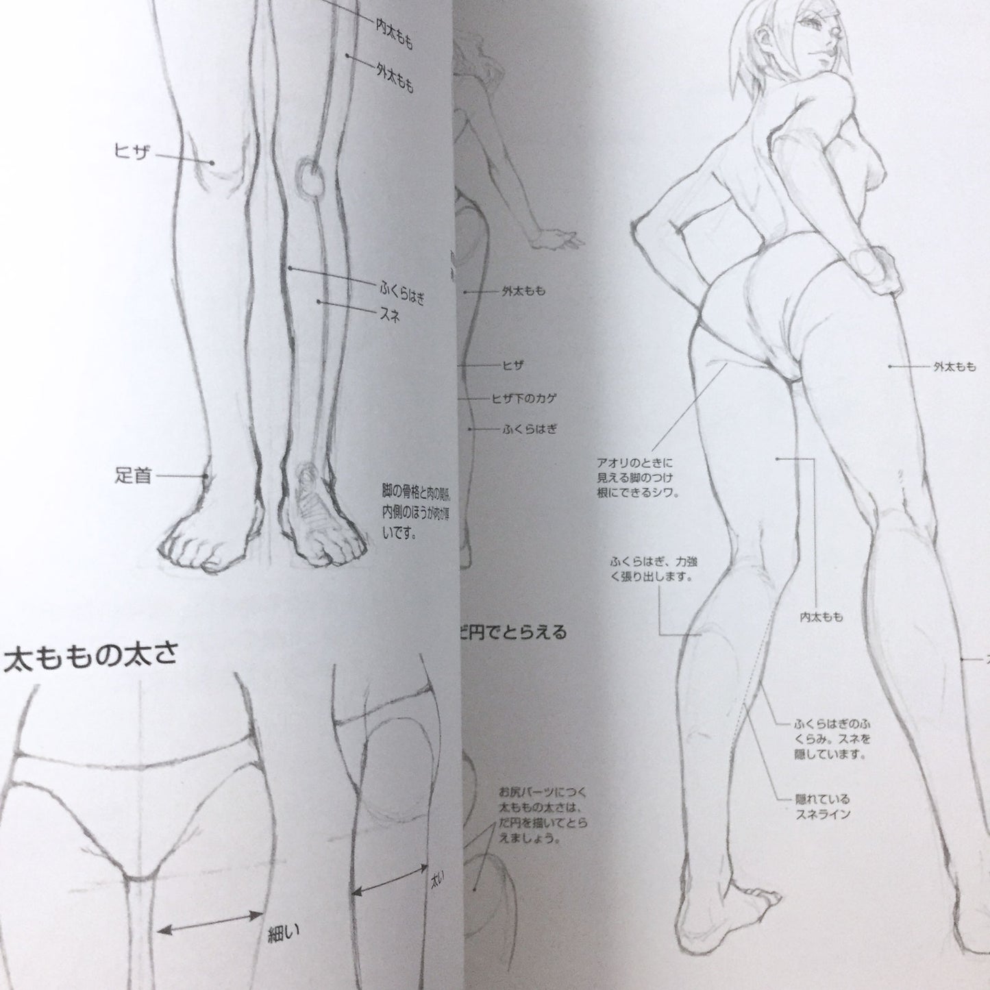 Manga Basic Drawing Female Character