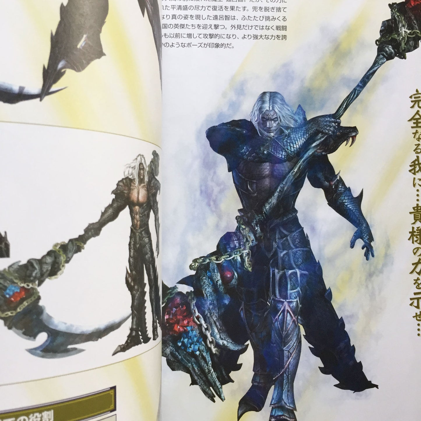 MUSOU OROCHI MAOUSAIRIN CHARACTER DATA BOOK