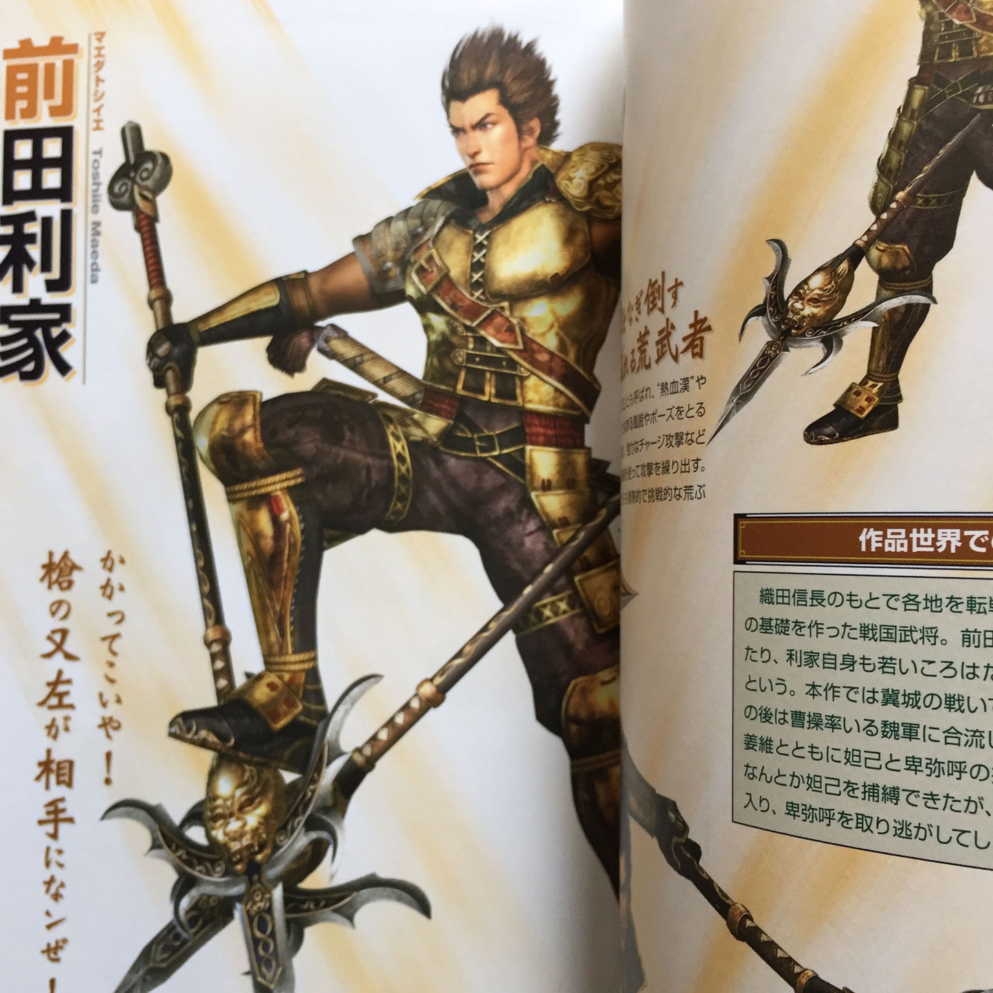 MUSOU OROCHI MAOUSAIRIN CHARACTER DATA BOOK