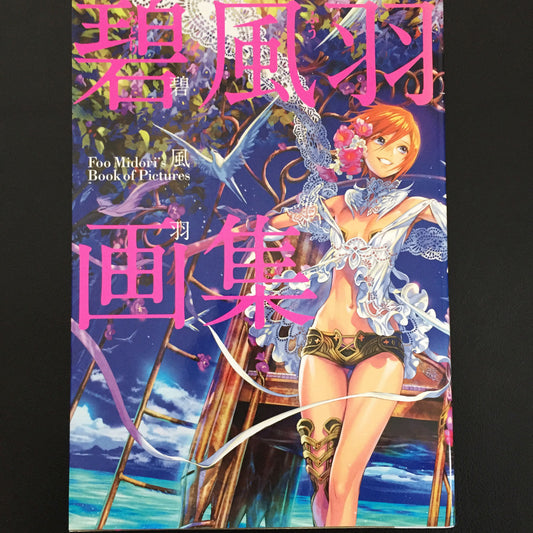 Foo Midori Art Book